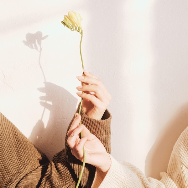 Photo de mains tenant une fleur | Organisatrice d’intérieur à Vitré & Ille-et-Vilaine